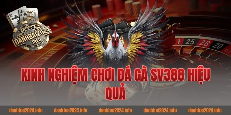 Kinh Nghiệm Chơi Đá Gà SV388 Hiệu Quả